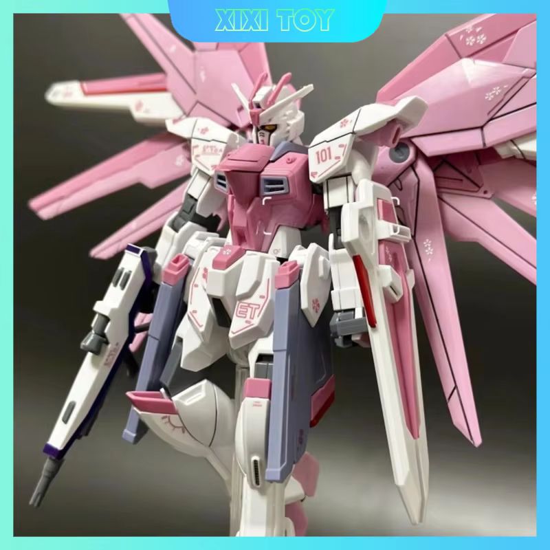 JMS HG 1/144 ZY-06 Freedom Ass – обзор и цена Bandai Gundam Rg