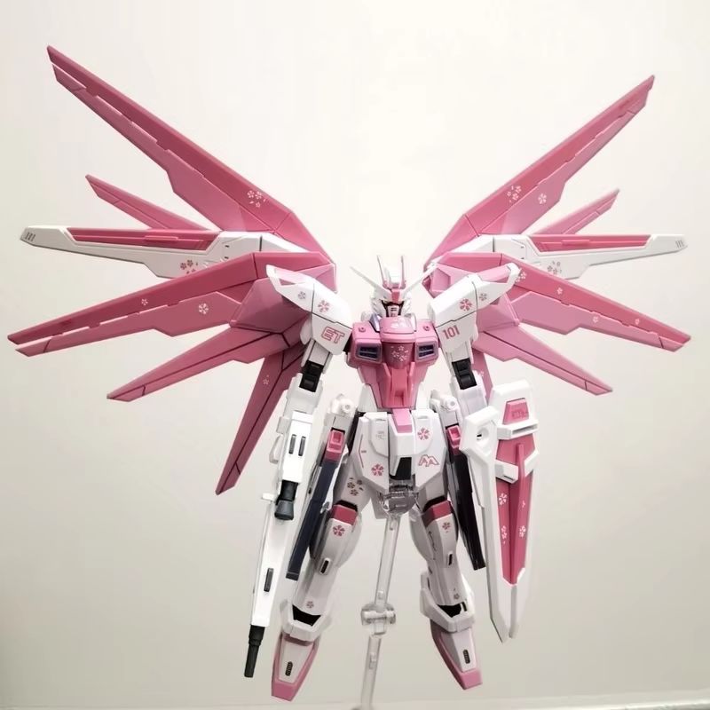 JMS HG 1/144 ZY-06 Freedom Ass – обзор и цена Bandai Gundam Rg