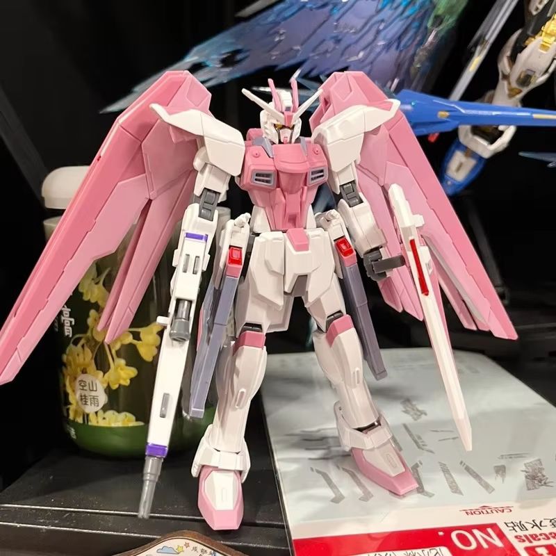 JMS HG 1/144 ZY-06 Freedom Ass – обзор и цена Bandai Gundam Rg